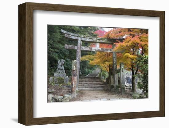 Torii Gate and Steps of Daisho-In Temple in Autumn, Miyajima Island, Western Honshu, Japan-Stuart Black-Framed Photographic Print