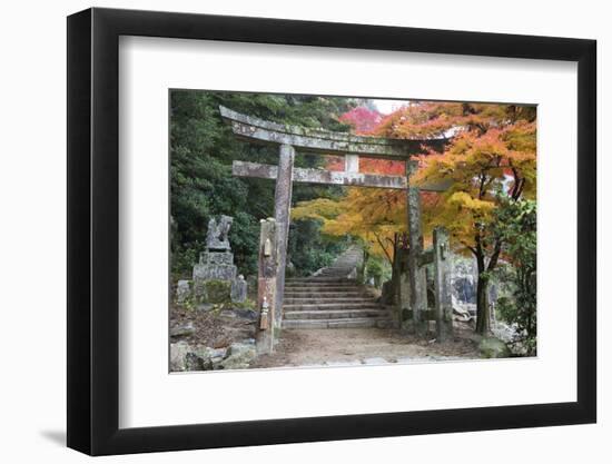 Torii Gate and Steps of Daisho-In Temple in Autumn, Miyajima Island, Western Honshu, Japan-Stuart Black-Framed Photographic Print