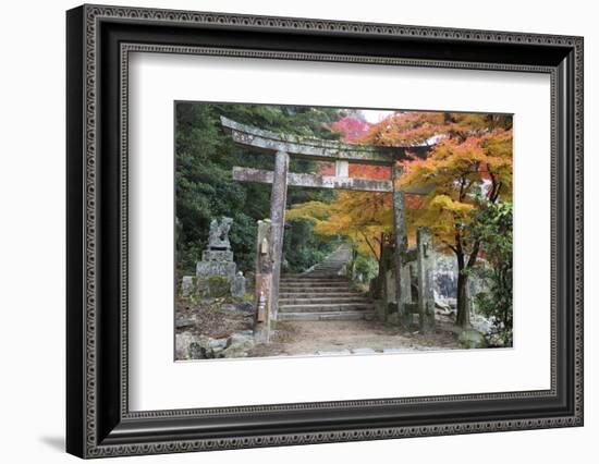 Torii Gate and Steps of Daisho-In Temple in Autumn, Miyajima Island, Western Honshu, Japan-Stuart Black-Framed Photographic Print