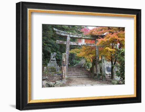 Torii Gate and Steps of Daisho-In Temple in Autumn, Miyajima Island, Western Honshu, Japan-Stuart Black-Framed Photographic Print