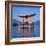 Torii Gate Shrine, (Itsukushima-Jingu Miya Jima), Japan-Christopher Rennie-Framed Photographic Print