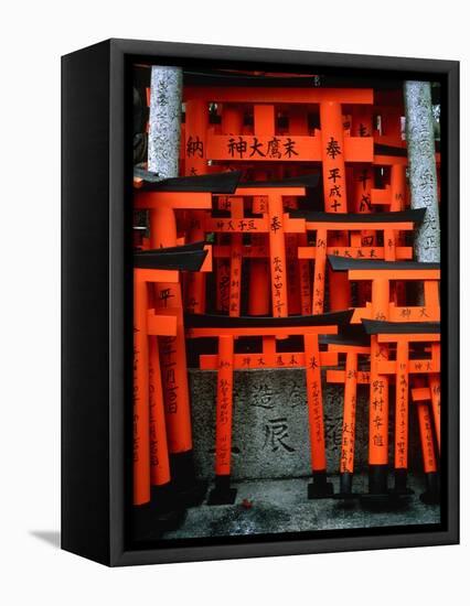 Torii Gates at Fushimi Inari Shrine, Japan, Kyoto-Murat Taner-Framed Premier Image Canvas