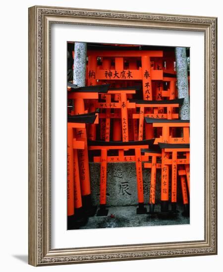 Torii Gates at Fushimi Inari Shrine, Japan, Kyoto-Murat Taner-Framed Photographic Print