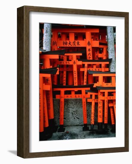 Torii Gates at Fushimi Inari Shrine, Japan, Kyoto-Murat Taner-Framed Photographic Print