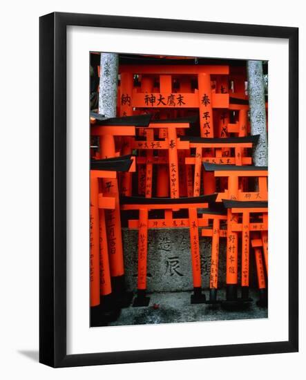 Torii Gates at Fushimi Inari Shrine, Japan, Kyoto-Murat Taner-Framed Photographic Print