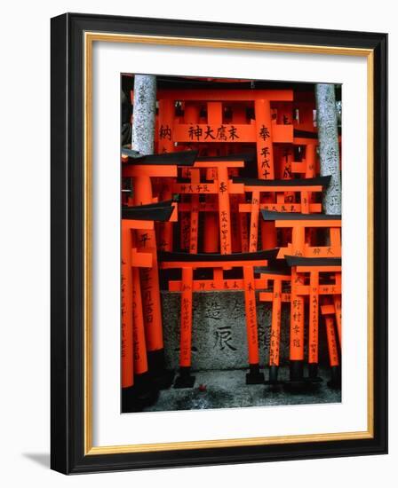 Torii Gates at Fushimi Inari Shrine, Japan, Kyoto-Murat Taner-Framed Photographic Print