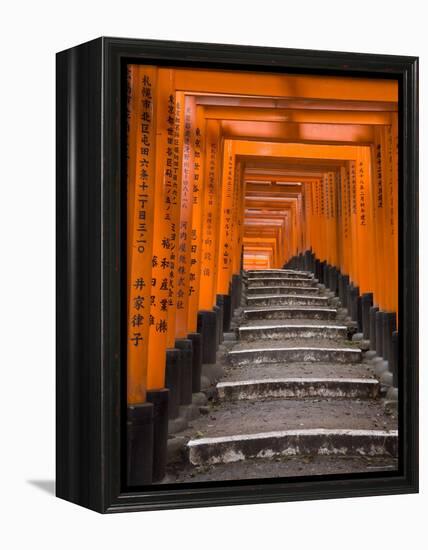 Torii Gates, Fushimi Inari Taisha Shrine, Kyoto, Honshu, Japan-Gavin Hellier-Framed Premier Image Canvas