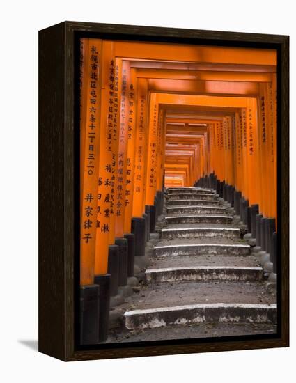 Torii Gates, Fushimi Inari Taisha Shrine, Kyoto, Honshu, Japan-Gavin Hellier-Framed Premier Image Canvas