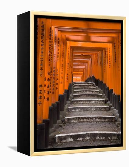 Torii Gates, Fushimi Inari Taisha Shrine, Kyoto, Honshu, Japan-Gavin Hellier-Framed Premier Image Canvas