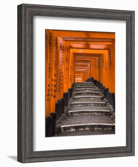 Torii Gates, Fushimi Inari Taisha Shrine, Kyoto, Honshu, Japan-Gavin Hellier-Framed Photographic Print