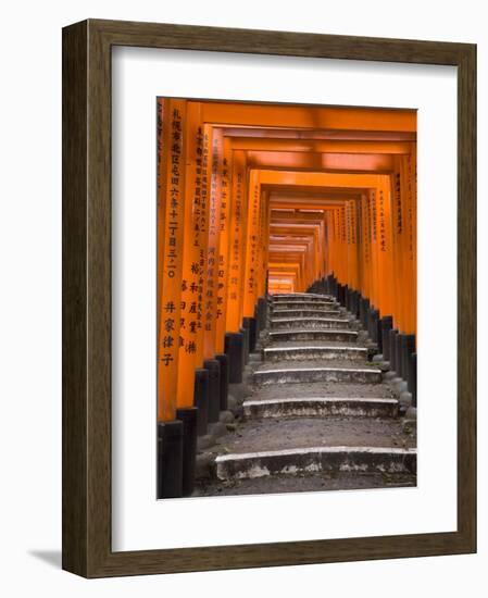 Torii Gates, Fushimi Inari Taisha Shrine, Kyoto, Honshu, Japan-Gavin Hellier-Framed Photographic Print