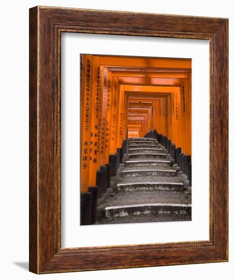 Torii Gates, Fushimi Inari Taisha Shrine, Kyoto, Honshu, Japan-Gavin Hellier-Framed Photographic Print