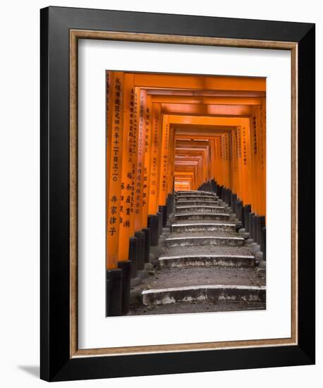 Torii Gates, Fushimi Inari Taisha Shrine, Kyoto, Honshu, Japan-Gavin Hellier-Framed Photographic Print