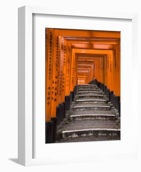 Torii Gates, Fushimi Inari Taisha Shrine, Kyoto, Honshu, Japan-Gavin Hellier-Framed Photographic Print