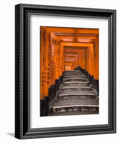 Torii Gates, Fushimi Inari Taisha Shrine, Kyoto, Honshu, Japan-Gavin Hellier-Framed Photographic Print