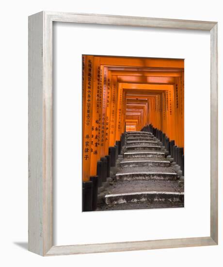 Torii Gates, Fushimi Inari Taisha Shrine, Kyoto, Honshu, Japan-Gavin Hellier-Framed Photographic Print