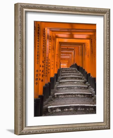 Torii Gates, Fushimi Inari Taisha Shrine, Kyoto, Honshu, Japan-Gavin Hellier-Framed Photographic Print