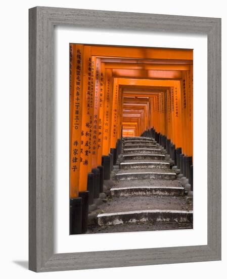 Torii Gates, Fushimi Inari Taisha Shrine, Kyoto, Honshu, Japan-Gavin Hellier-Framed Photographic Print