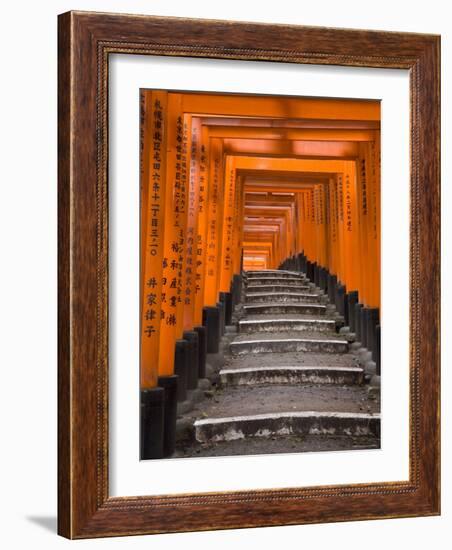 Torii Gates, Fushimi Inari Taisha Shrine, Kyoto, Honshu, Japan-Gavin Hellier-Framed Photographic Print