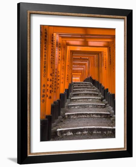 Torii Gates, Fushimi Inari Taisha Shrine, Kyoto, Honshu, Japan-Gavin Hellier-Framed Photographic Print