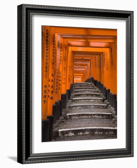 Torii Gates, Fushimi Inari Taisha Shrine, Kyoto, Honshu, Japan-Gavin Hellier-Framed Photographic Print