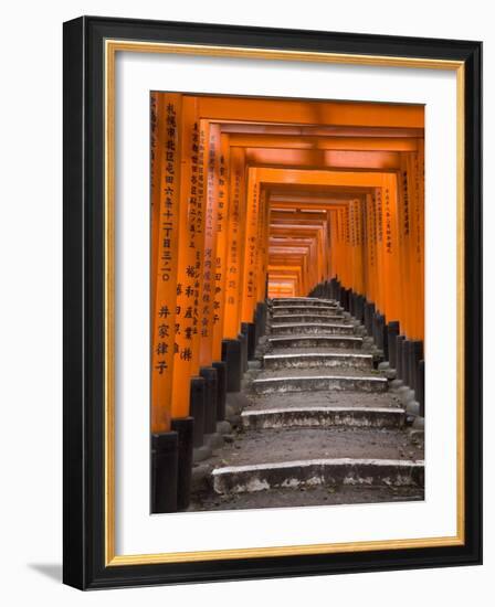 Torii Gates, Fushimi Inari Taisha Shrine, Kyoto, Honshu, Japan-Gavin Hellier-Framed Photographic Print