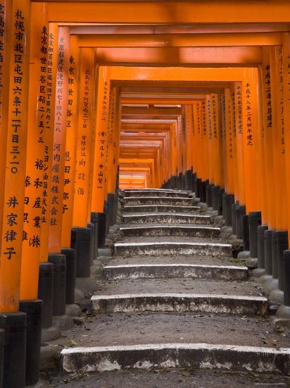 Torii Gates Fushimi Inari Taisha Shrine Kyoto Honshu Japan Photographic Print Gavin Hellier Art Com Torii Gates Fushimi Inari Taisha Shrine Kyoto Honshu Japan Photographic Print Gavin Hellier Art Com