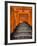 Torii Gates, Fushimi Inari Taisha Shrine, Kyoto, Honshu, Japan-Gavin Hellier-Framed Photographic Print