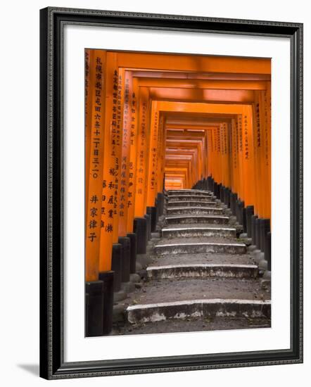 Torii Gates, Fushimi Inari Taisha Shrine, Kyoto, Honshu, Japan-Gavin Hellier-Framed Photographic Print