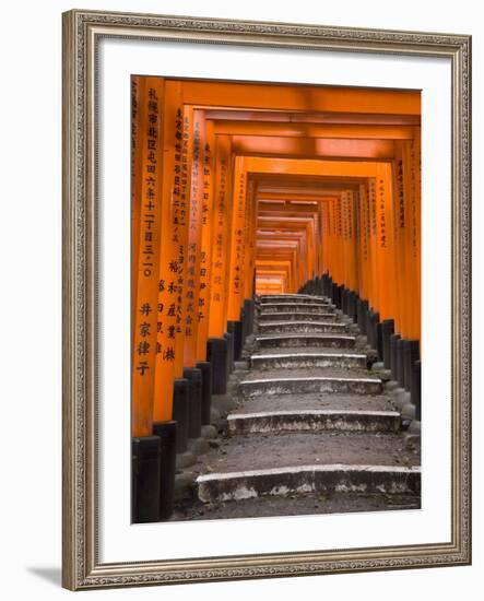 Torii Gates, Fushimi Inari Taisha Shrine, Kyoto, Honshu, Japan-Gavin Hellier-Framed Photographic Print