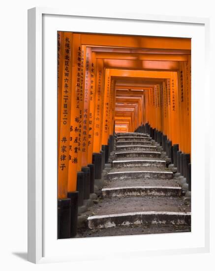 Torii Gates, Fushimi Inari Taisha Shrine, Kyoto, Honshu, Japan-Gavin Hellier-Framed Photographic Print