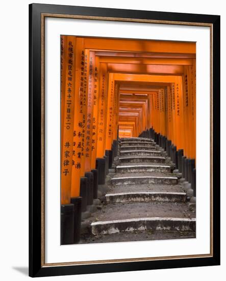 Torii Gates, Fushimi Inari Taisha Shrine, Kyoto, Honshu, Japan-Gavin Hellier-Framed Photographic Print