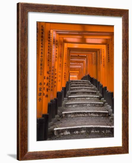 Torii Gates, Fushimi Inari Taisha Shrine, Kyoto, Honshu, Japan-Gavin Hellier-Framed Photographic Print