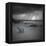 Tormenta Sharp - Pop-Moises Levy-Framed Premier Image Canvas