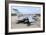 Tornado Gr4 of the Royal Air Force at Raf Lossiemouth-Stocktrek Images-Framed Photographic Print