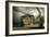 Tornado over the House-viczast-Framed Art Print