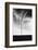 Tornado-null-Framed Photographic Print