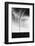 Tornado-null-Framed Photographic Print