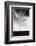 Tornado-null-Framed Photographic Print