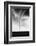 Tornado-null-Framed Photographic Print