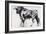 Toro Azul, Study-Mark Adlington-Framed Giclee Print