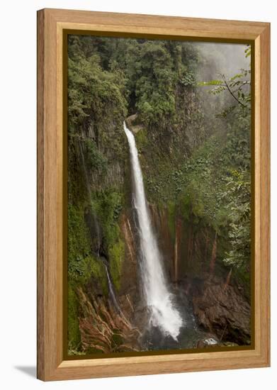 Toro Falls, Cloud Forest, Costa Rica-Rob Sheppard-Framed Premier Image Canvas