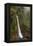 Toro Falls, Cloud Forest, Costa Rica-Rob Sheppard-Framed Premier Image Canvas