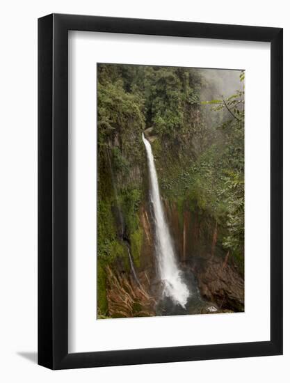 Toro Falls, Cloud Forest, Costa Rica-Rob Sheppard-Framed Photographic Print