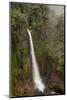 Toro Falls, Cloud Forest, Costa Rica-Rob Sheppard-Mounted Photographic Print