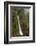 Toro Falls, Cloud Forest, Costa Rica-Rob Sheppard-Framed Photographic Print