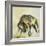 Toro-Lisa Ridgers-Framed Art Print