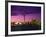 Toronto Skyline at Night, Canada-Jim Schwabel-Framed Photographic Print