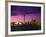 Toronto Skyline at Night, Canada-Jim Schwabel-Framed Photographic Print