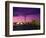 Toronto Skyline at Night, Canada-Jim Schwabel-Framed Photographic Print